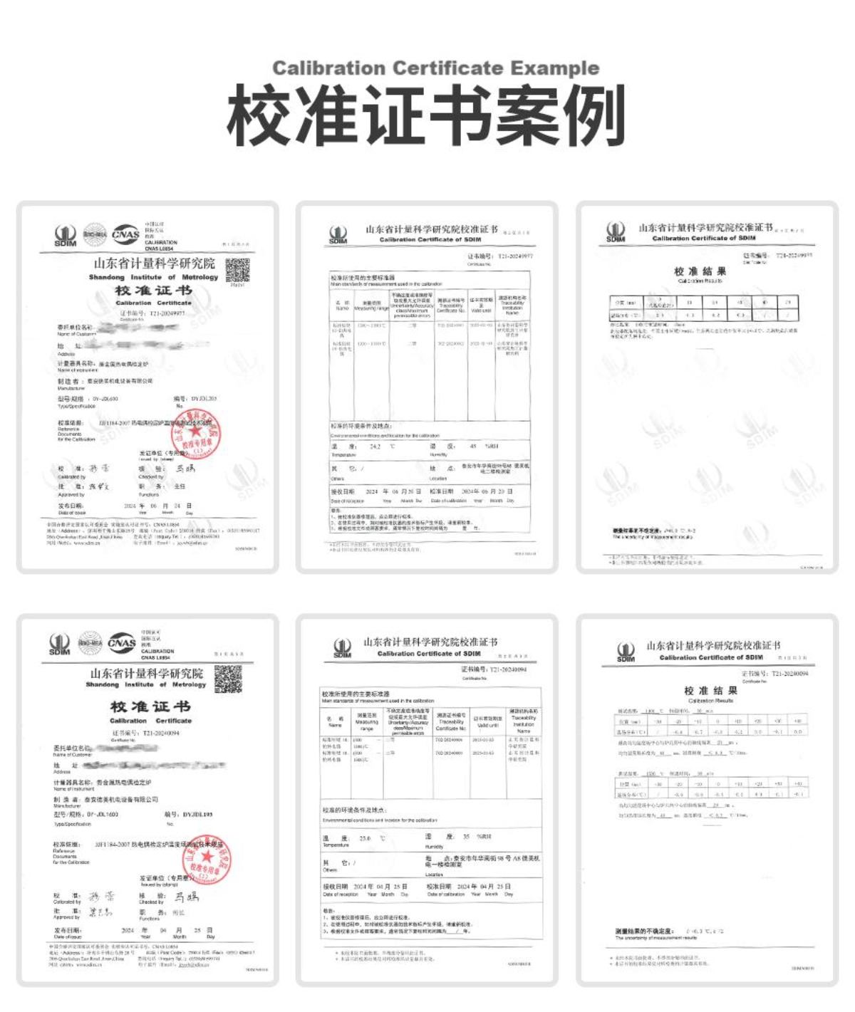 DY-GTL450X Dry Block Temperature Calibrator(50℃~450℃)